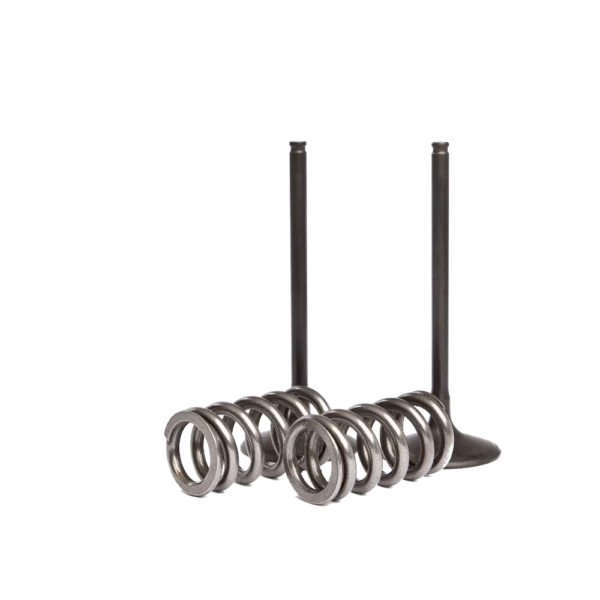 Ventilkit Stahl + Ventilfedern Auslass